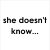 Pixelated text in four quadrants: top-left 'she doesn't know...', top-right 'but shes just like', bottom-left 'me', and a solid gray square in the bottom-right.