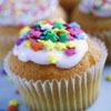 A single cupcake with white frosting topped with colorful star-shaped sprinkles in green, blue, pink, yellow, and orange, set against a blurred background of additional cupcakes.