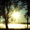 Sunlight filters through tree branches over a body of water, creating a bright glare and silhouetted foliage against a pale sky.
