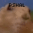 A pixelated animal face with text above it, showing two states: one with 'PSHAL' and another with 'lol', against a blue background.