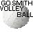 A static image of a white volleyball with text above and below it, showing variations in color-coded letters.