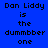Blue background with black text reading "Don Liddy is the dumber one" in a of three and two , where green highlights shift across different words