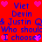 Red background with blue text and pink hearts, repeating names 'Viet', 'Devin', '& Justin Q' in a pattern