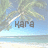 Pixelated beach scene with palm tree, blue sky, and water; dark gray text 'Kara' overlaid on light blue background.