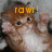 Pixelated cartoon hamster with brown fur and white belly, showing text above its head changing from 'rawr!' to '<3'