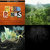 A static image divided into four quadrants with distinct color schemes and pixelated patterns.