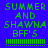 Pixelated green text on blue background reads 'SUMMER AND SHAWNA BFF'S' with horizontal lines below, displayed in a of three identical