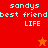 Red and orange pixelated with text 'sandys best friend LIFE' and two star icons, one orange and one red