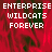 Red background with white pixelated text reading 'ENTERPRISE WILDCATS FOREVER' in three , displayed in a with a gray on the right