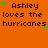 Orange background with repeated text 'Ashley loves the hurricanes' in dark brown pixelated font, each line accompanied by small green and yellow star icons.