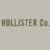Static image displaying repeated 'HOLLISTER Co.' text in brown lettering on a light beige background with faint speckles.