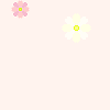 Static image of scattered pink and white flowers on a pale peach background with a gray rectangular shape at bottom right.