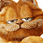 Animated contact sheet of Garfield the Cat from 'Garfield The Movie' showing multiple expressions and motion blur effects across 7 frames with visible text at bottom left.