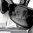 Black-and-white pixelated image of a cartoon character with large ears, dark eyes, and a rounded nose on a light background.