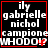 Black background with red border displays white pixelated text reading 'ily gabrielle nichol campione WHODU!?' in four identical