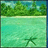 Animated beach scene with turquoise water, green trees on the shore, and a small dark starfish-like shape in the foreground.