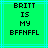 Green background with cyan lines and black pixelated text reading BRITT IS MY BFFNFFL in four centered