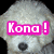 A static image of a light-colored dog with dark eyes and nose, featuring pink text reading "Kona!" on the left side.