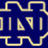 Pixelated blue background with yellow outline of stylized 'ND' logo and adjacent text reading 'Notre Dame Fighting Irish' in yellow pixel font.