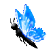 Four pixelated views of a black insect-like creature with blue translucent wings against a gray background, showing different wing positions and angles.
