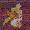 A fairy-like figure with golden wings and white dress sits on a purple striped background, text above changes from 'E' to 'E-M' to 'E-Mail'.
