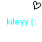 Black pixelated heart symbol above two identical cyan text strings reading 'kileyy |:' on white background.