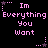 Pixelated pink text on black background with animated star and dot patterns, displaying "Im Everything You Want" in two