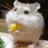 Animated sequence showing a hamster holding food, two puppies side-by-side, and a pig with text.