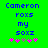 Green background with blue pixelated text reading "Cameron roxs my soxz" and five pink/purple star-like symbols below, where the middle symbol changes from gray to pink between frames.