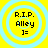 Yellow background with light blue concentric circles surrounding black text reading R.I.P. Alley ]= in a pixelated font.