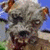 A pixelated dog with light brown and white fur appears in the top-left, next to bold text reading "LOLA IS GONE" above "EMMA MISSES HER!" on a split background.