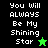 Pixelated text "You Will ALWAYS Be My Shining Star" with a green star on black background and a black star on bright green background.