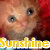 Pixelated close-up of a person with light skin and brown hair, wearing red clothing, with the word 'Sunshine' in yellow text below.