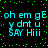 Pixelated cyan text on black background with green dots, repeating 'oh em gE y drt u SAY Hiii' in two across four identical sections