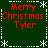 Green background with white snowflake and dashed border, red text 'Merry Christmas Tyler' in four quadrants.