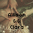 Pixelated image of two figures in a landscape with text reading 'Allison & Clara' and 'BFF'S!' on separate sections.