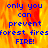 Blue pixelated text on a fiery orange-yellow background reads 'only you can prevent forest fires FIRE!' with a gray rectangular area on the right.