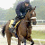 A pixelated image of a horse and rider on the left, with colorful text reading "We Have Faith in you Barbaro!" on the right.