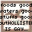 Pixelated text reads 'foods good waters good stuffs good butHOLLISTER IS GAY...' over a blurred background with brown vertical borders.