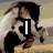 Six horse images arranged in a with overlaid text and expressions