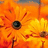 Pixelated orange and yellow sunflower with dark brown center, red accents on petals, and blurred background elements.