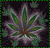 Animated icon featuring a green cannabis leaf with purple and brown accents, repeated across a dark background with small green leaf motifs, and the text 'POTHEAD' in green pixelated font below each leaf.