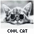 A 3x3 contact sheet of eight grayscale animated frames showing a cat's face with varying text color and expression, each labeled "COOL CAT" below the image.