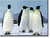 Four penguins stand on snow against a light blue sky, each with black heads and wings, white bodies, and orange feet.