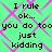 Green background with pink diamond pattern and black pixelated text repeating 'I rule ok... you do too just kidding' in four identical sections.