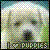 Pixelated static image of a stylized face with green eyes, dark nose, and mouth, set against a checkered background with light yellow and white tones.