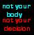 Pixelated text reads 'not your body not your decision' in cyan and red on a dark background with green and purple pixel noise.