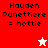 Pixelated text reads 'Hayden Panettiere = hottie' on red, white, and pink backgrounds with star symbols.