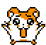 Pixel art hamster with orange and white fur, black eyes, and an orange nose, shown in multiple poses including open mouth, closed mouth, and side views.