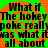Green and orange background with repeated black text reading "What if The hokey poke really was what it was all about" in a pixelated font.